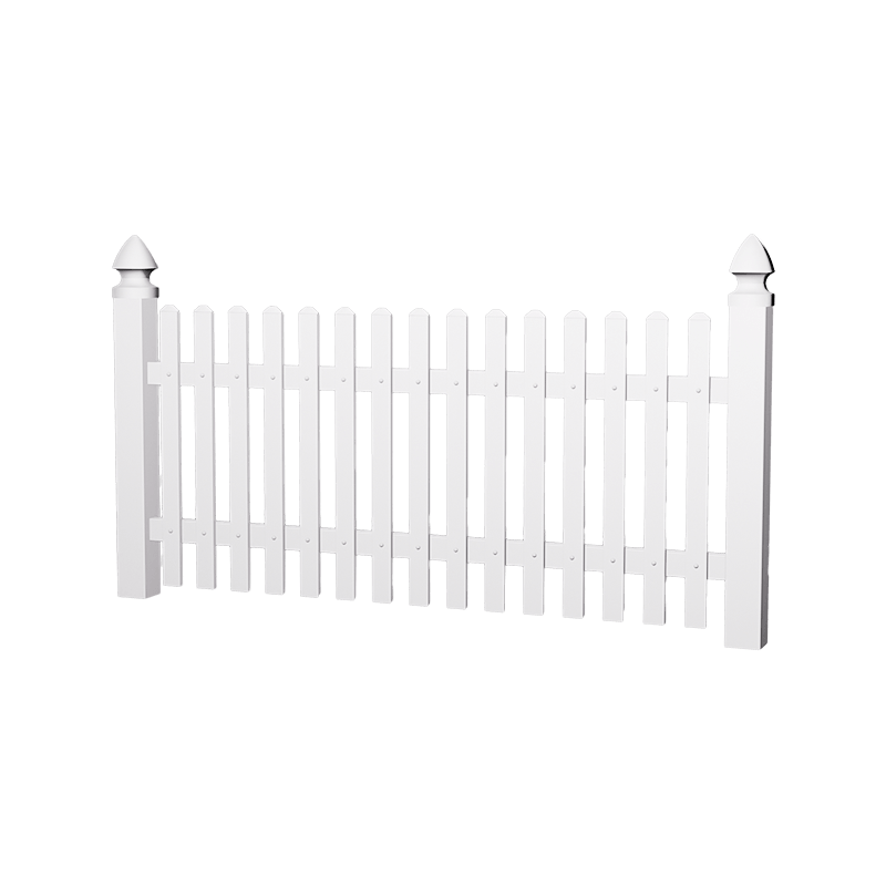 Hae1 tradycyjny pikiet uszy dla psów